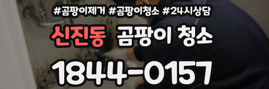 신진동 곰팡이 청소