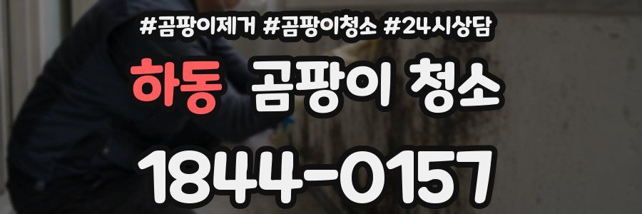 하동 곰팡이 청소
