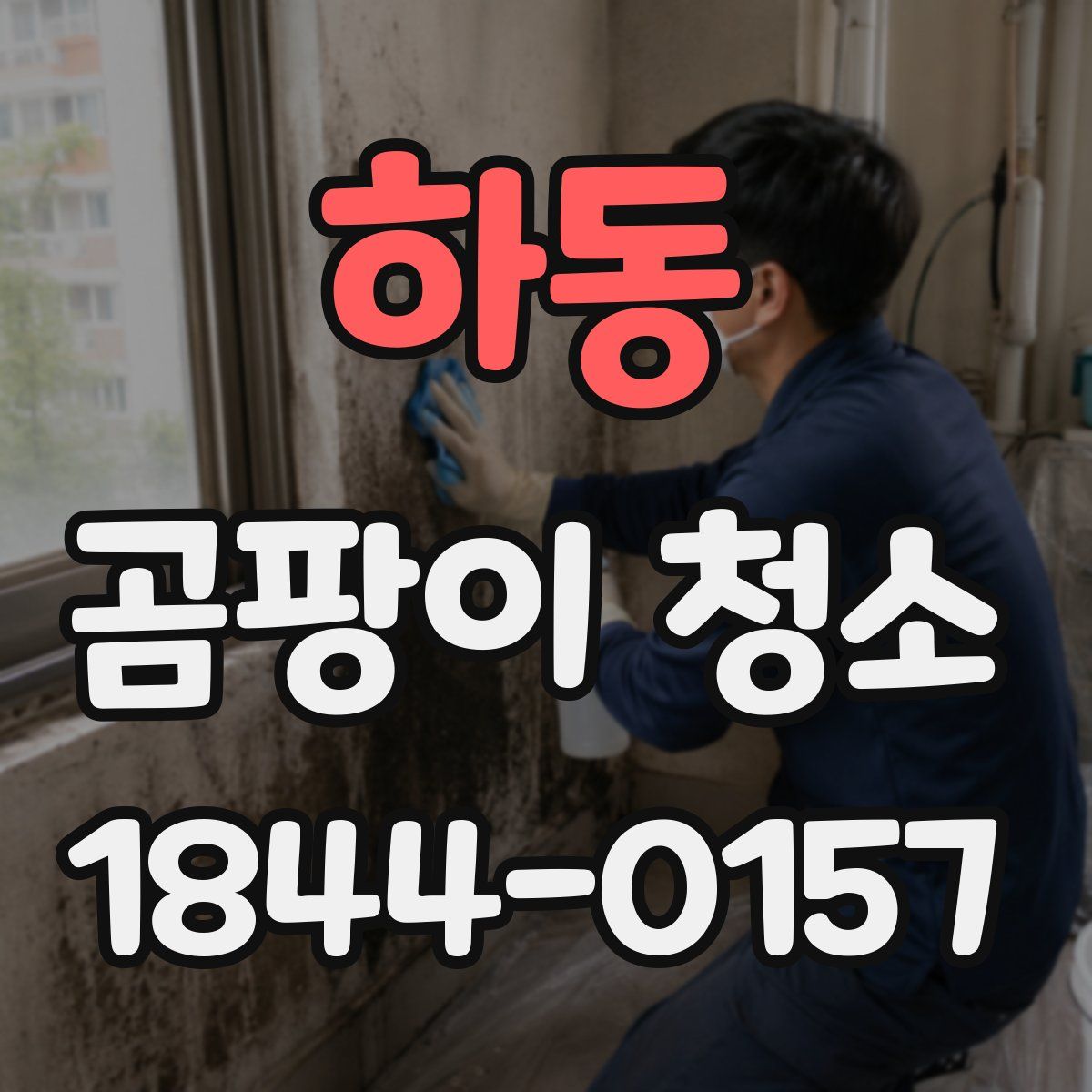 하동 곰팡이 청소