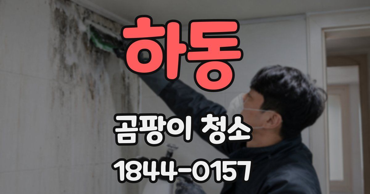 하동 곰팡이 청소
