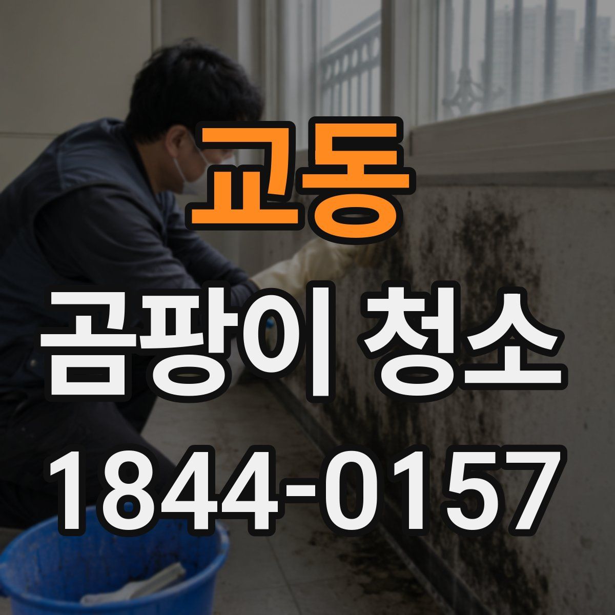 교동 곰팡이 청소