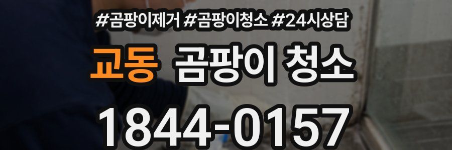 교동 곰팡이 청소