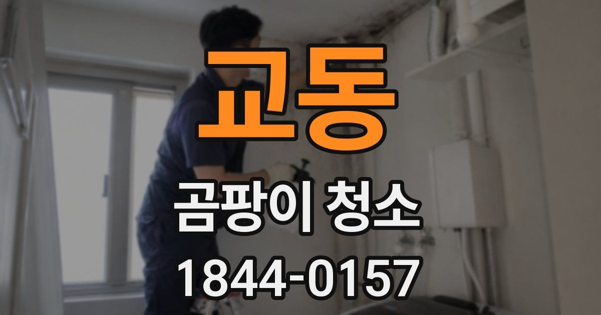 교동 곰팡이 청소