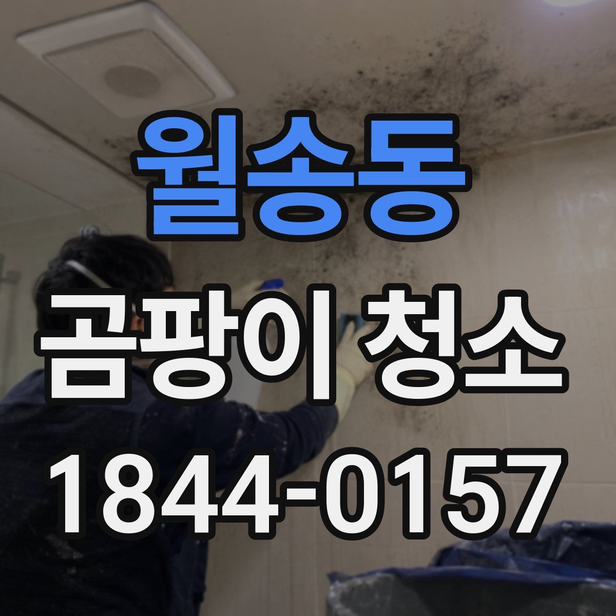 월송동 곰팡이 청소