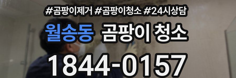 월송동 곰팡이 청소