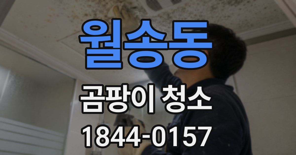 월송동 곰팡이 청소