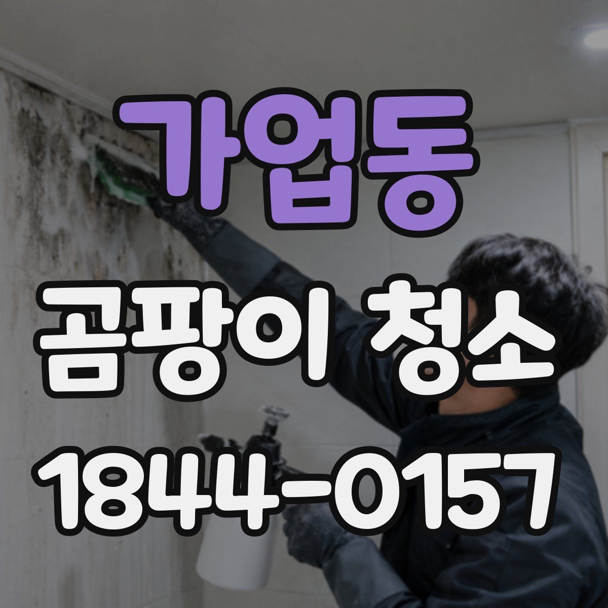 가업동 곰팡이 청소