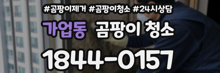 가업동 곰팡이 청소