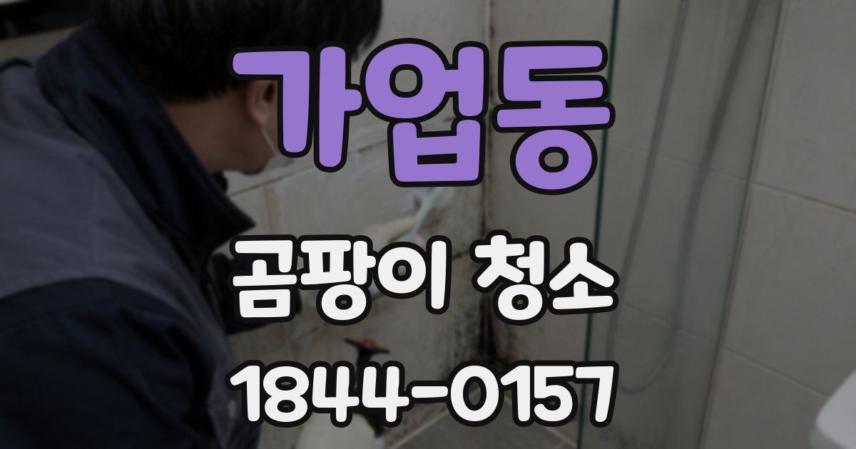 가업동 곰팡이 청소