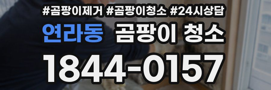 연라동 곰팡이 청소