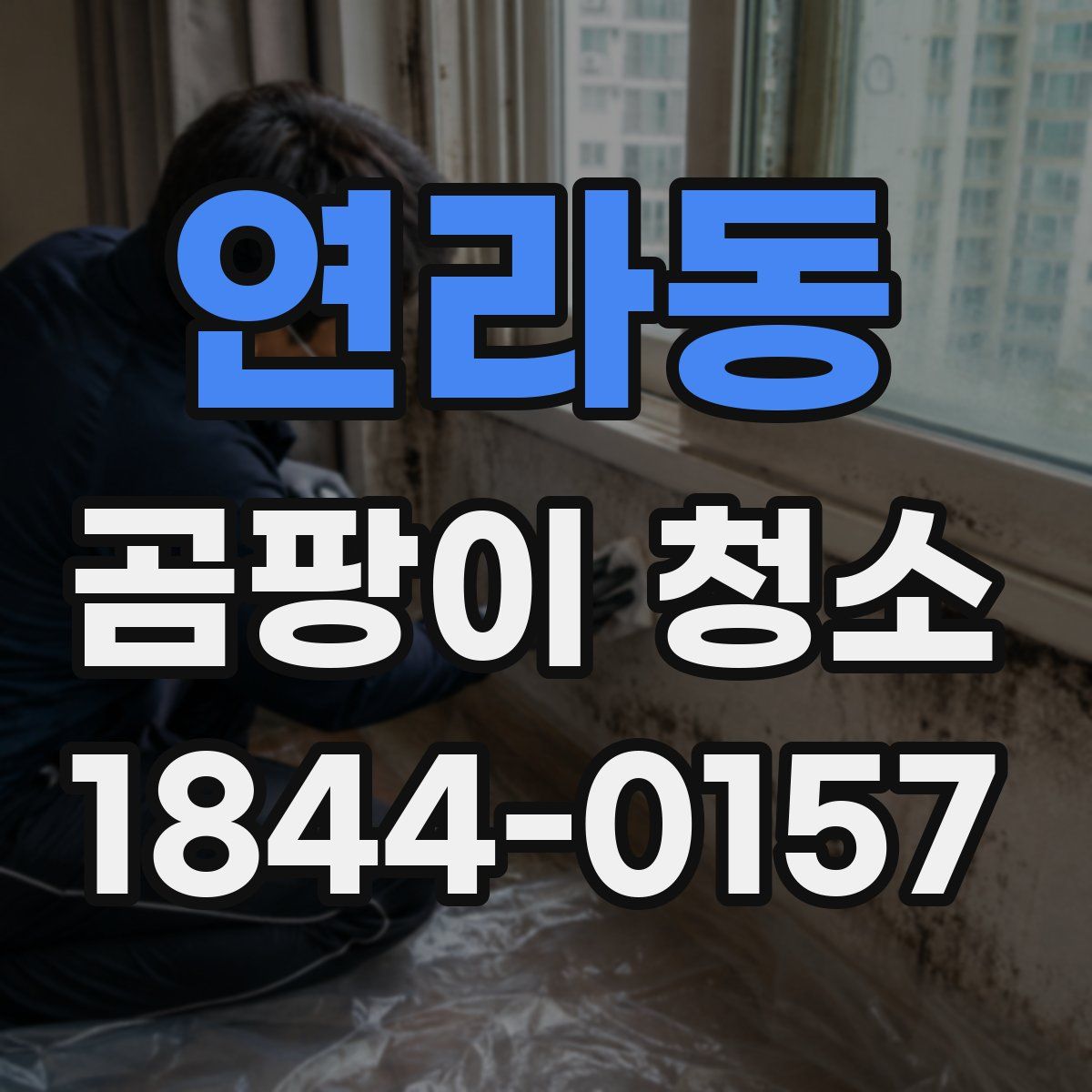 연라동 곰팡이 청소