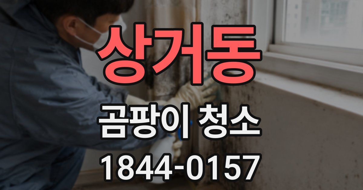 상거동 곰팡이 청소
