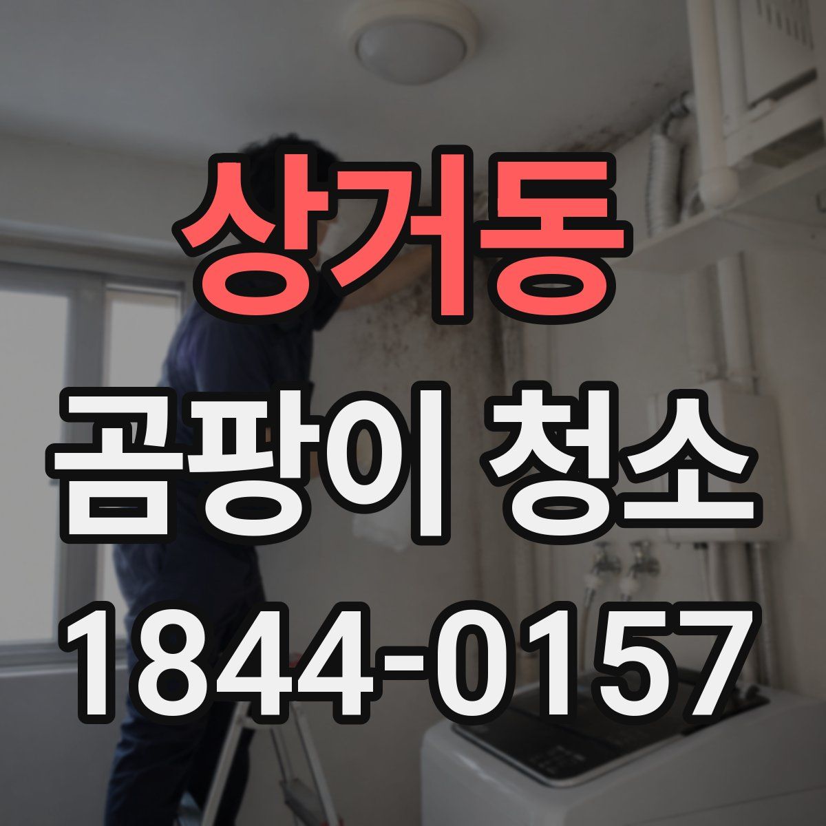 상거동 곰팡이 청소