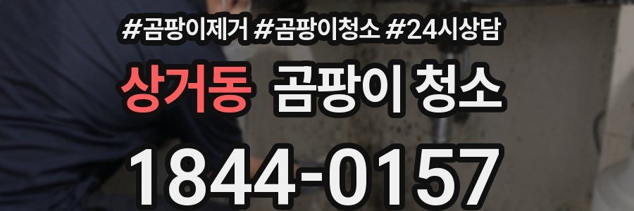 상거동 곰팡이 청소