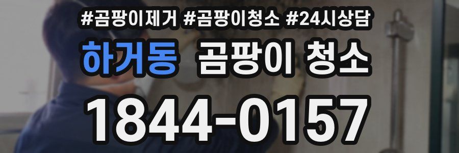 하거동 곰팡이 청소