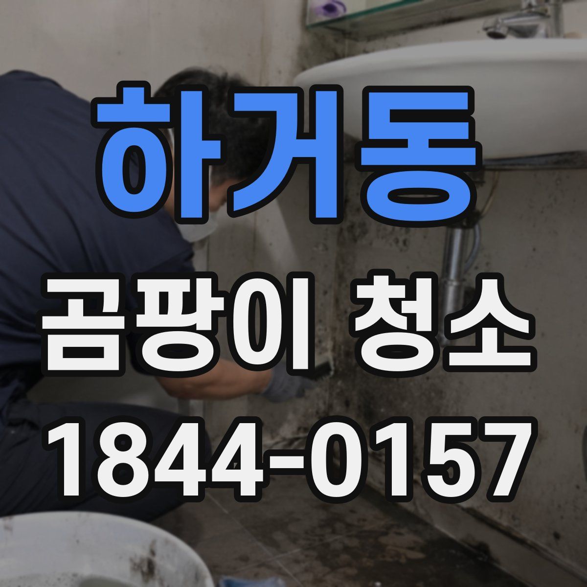 하거동 곰팡이 청소