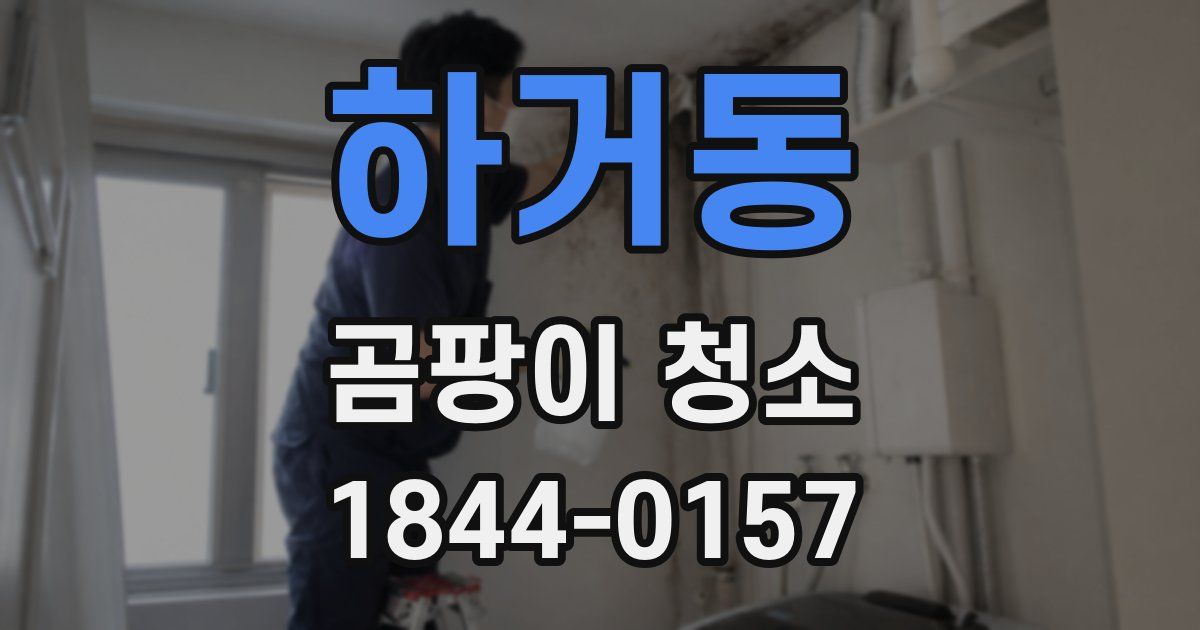 하거동 곰팡이 청소
