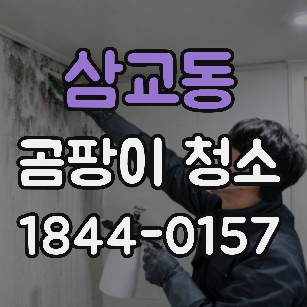 삼교동 곰팡이 청소