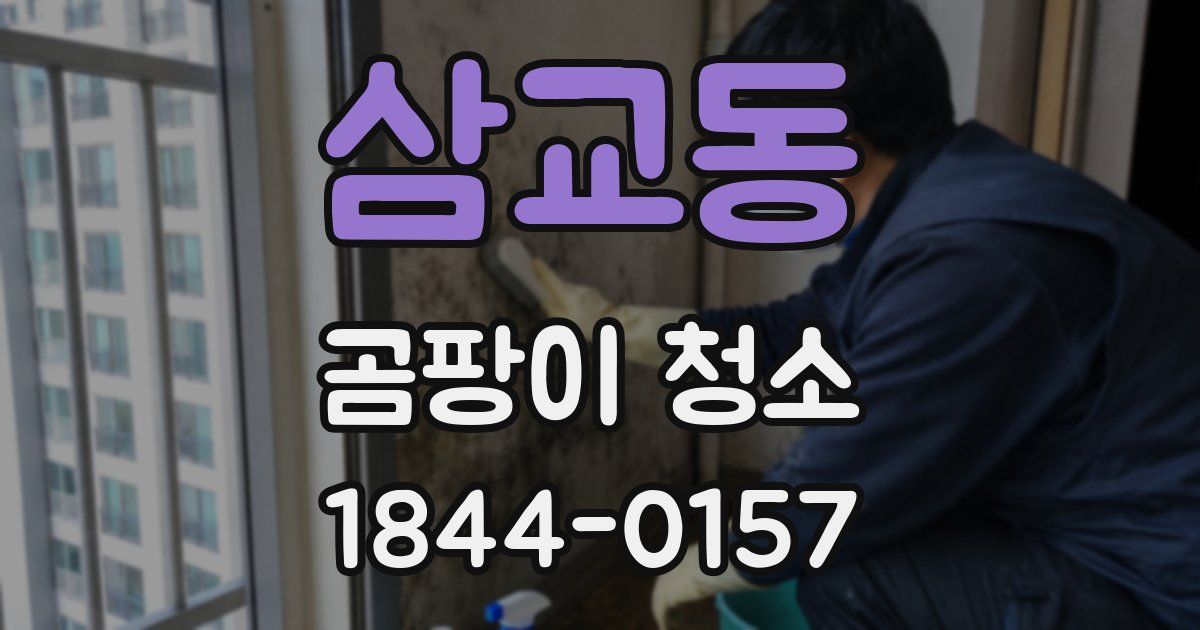 삼교동 곰팡이 청소