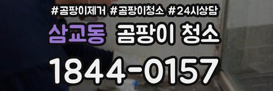 삼교동 곰팡이 청소