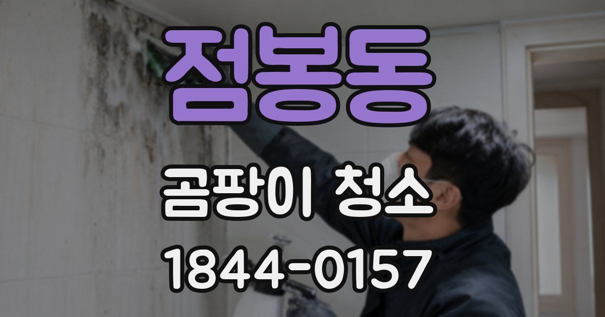 점봉동 곰팡이 청소