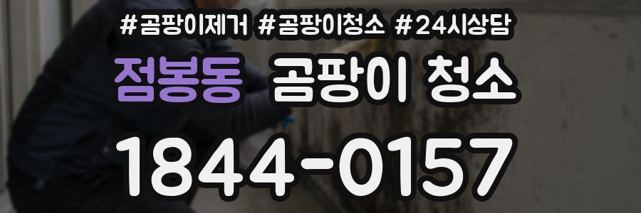 점봉동 곰팡이 청소