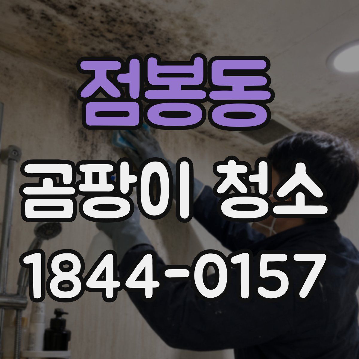점봉동 곰팡이 청소
