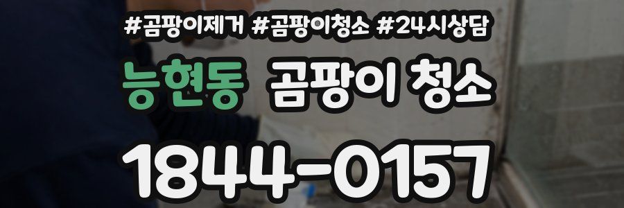 능현동 곰팡이 청소