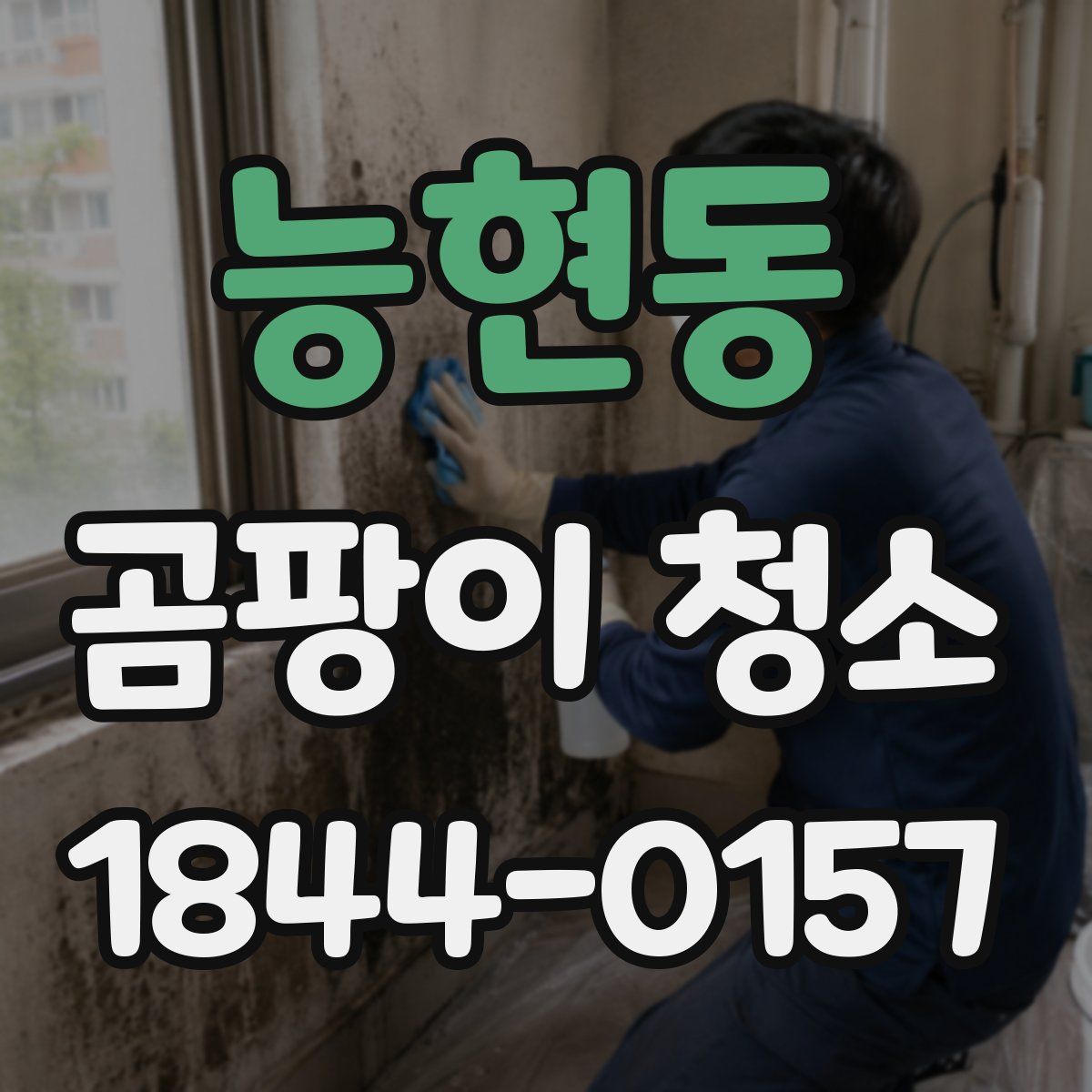 능현동 곰팡이 청소