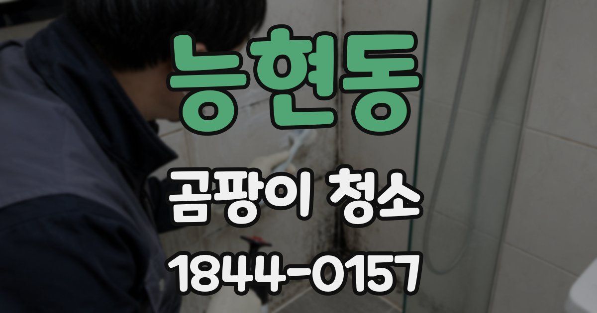 능현동 곰팡이 청소