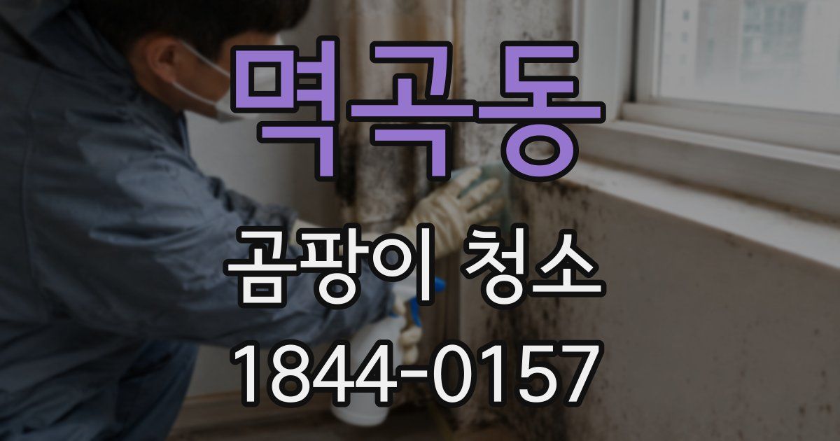 멱곡동 곰팡이 청소