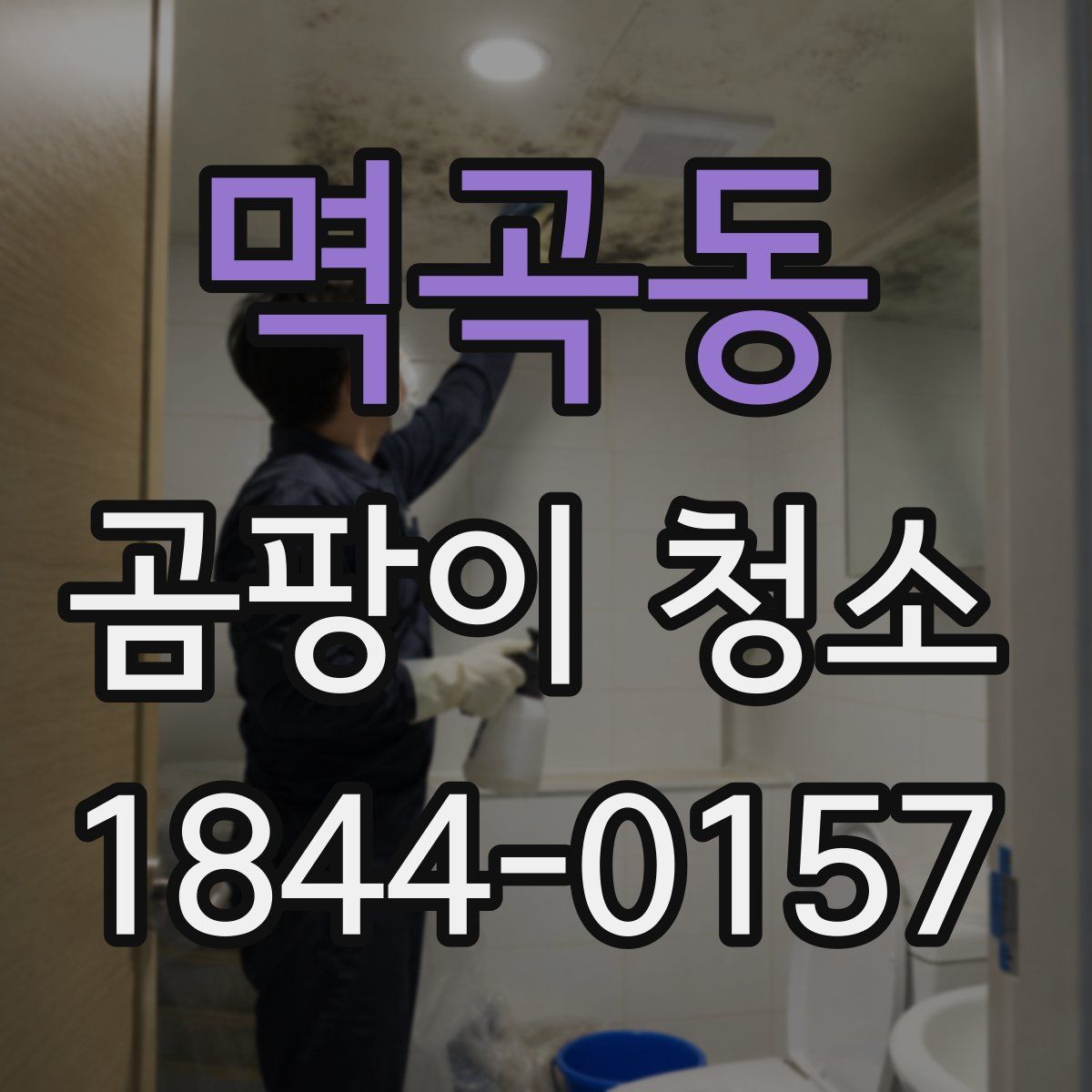 멱곡동 곰팡이 청소