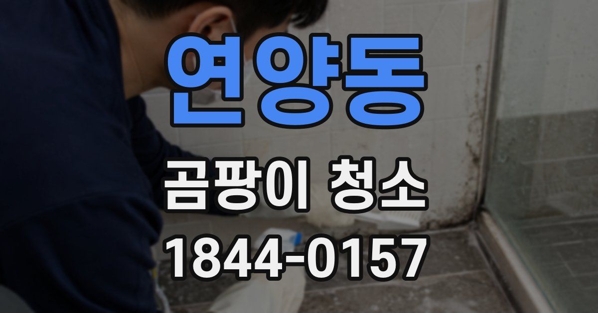 연양동 곰팡이 청소