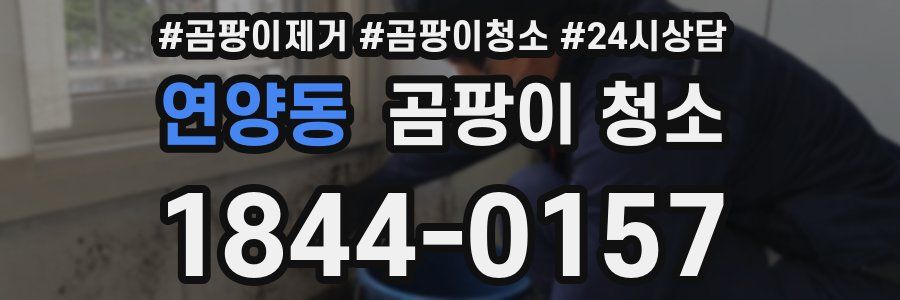 연양동 곰팡이 청소
