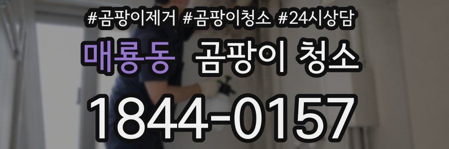 매룡동 곰팡이 청소