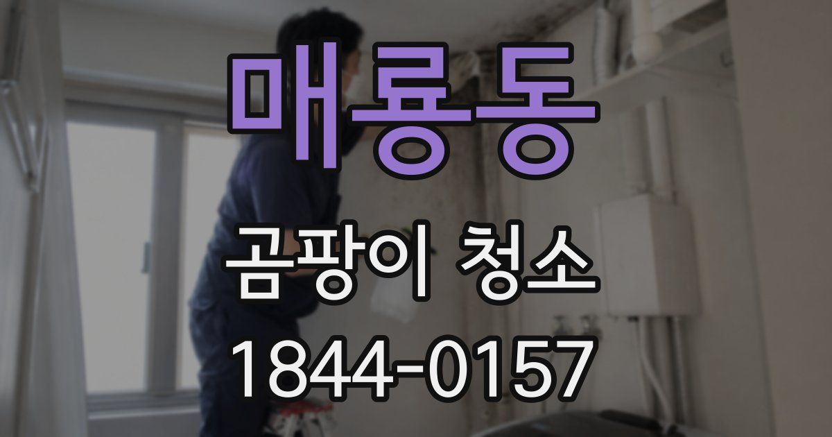 매룡동 곰팡이 청소