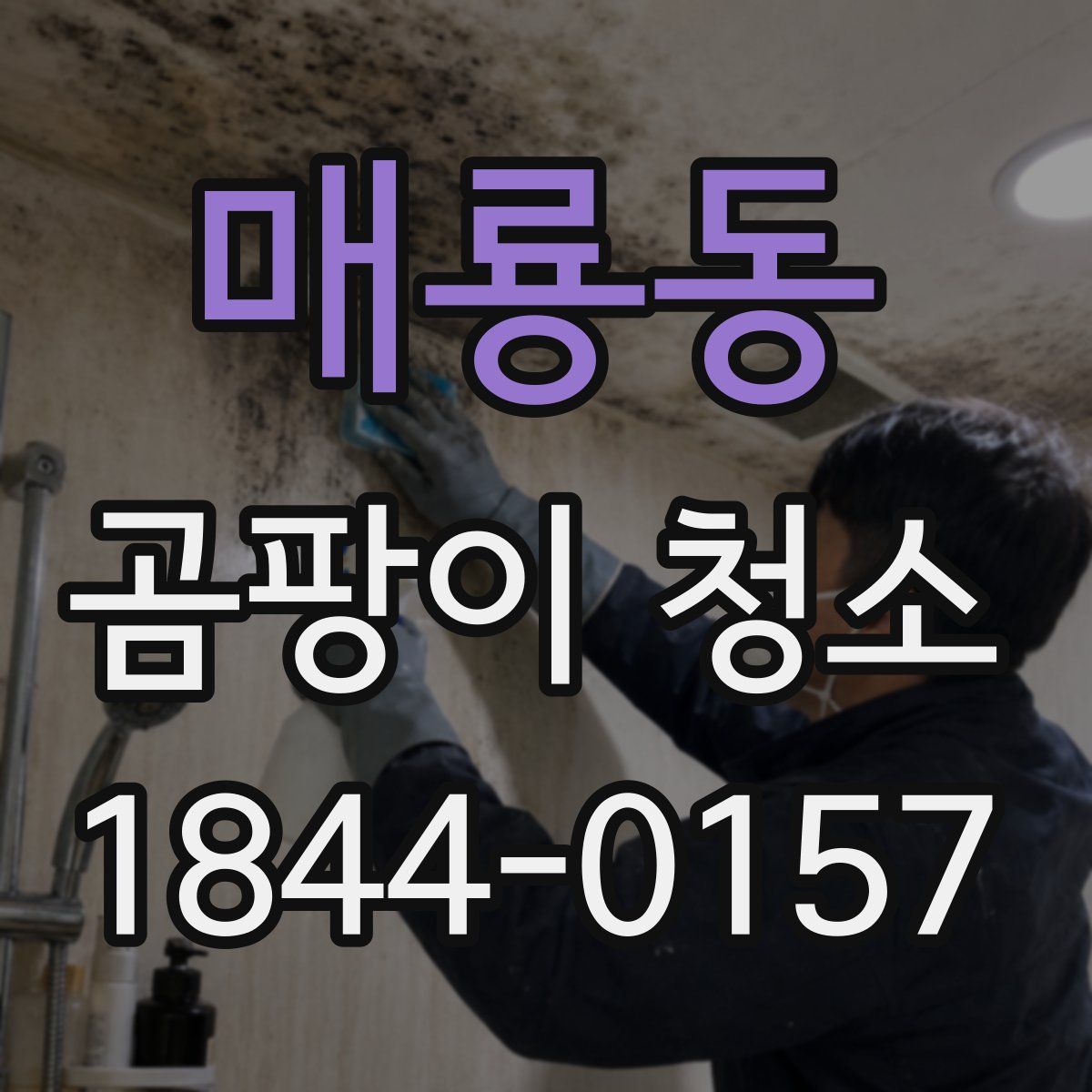 매룡동 곰팡이 청소