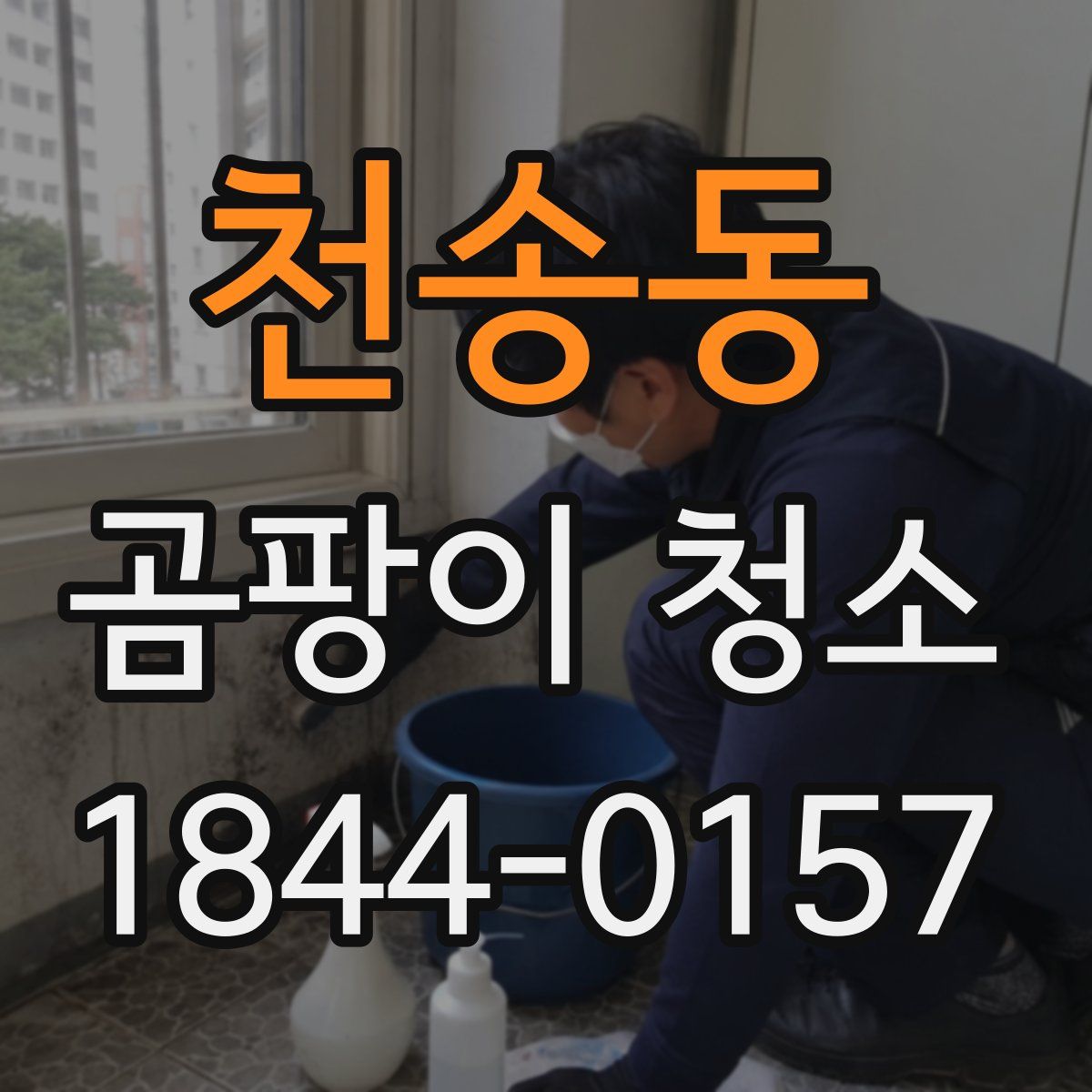 천송동 곰팡이 청소