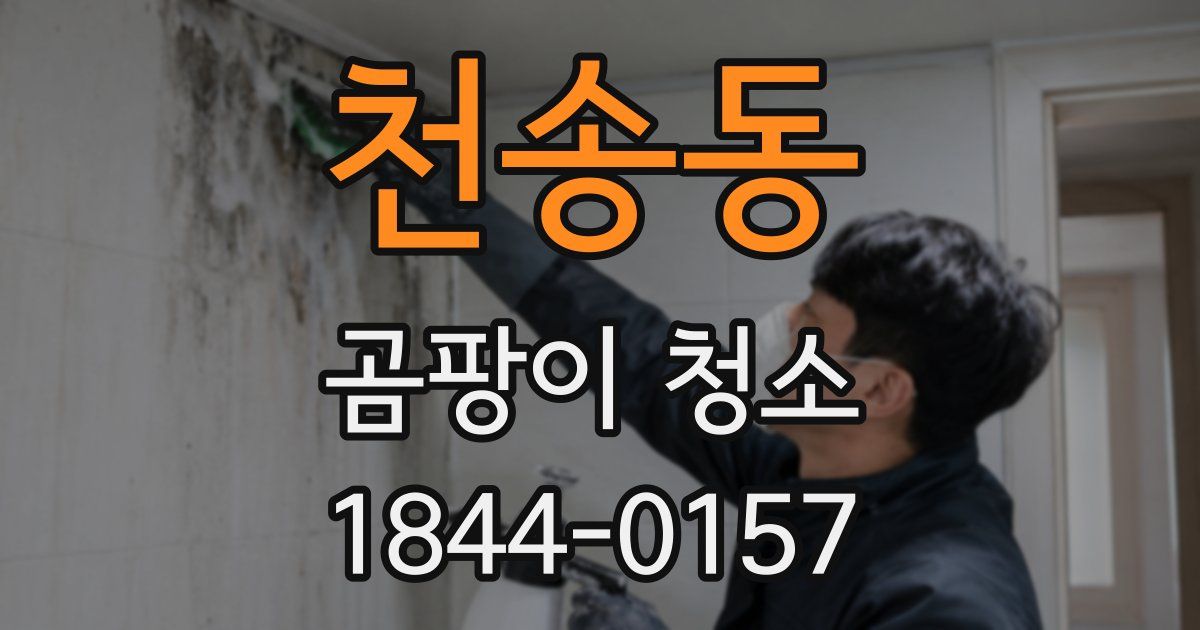 천송동 곰팡이 청소