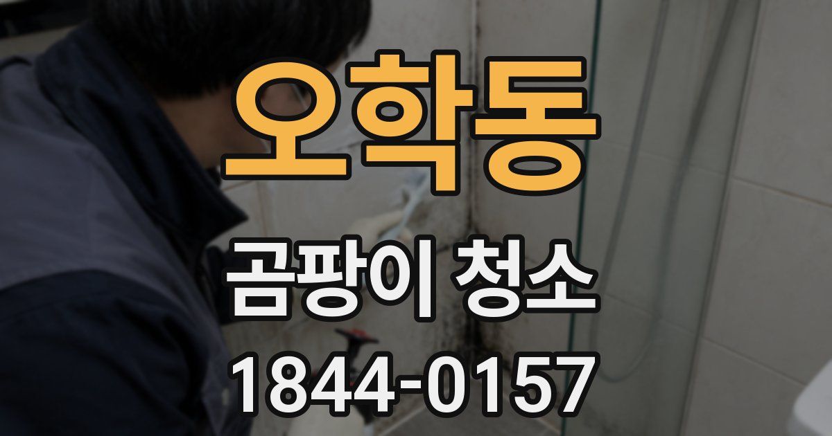 오학동 곰팡이 청소