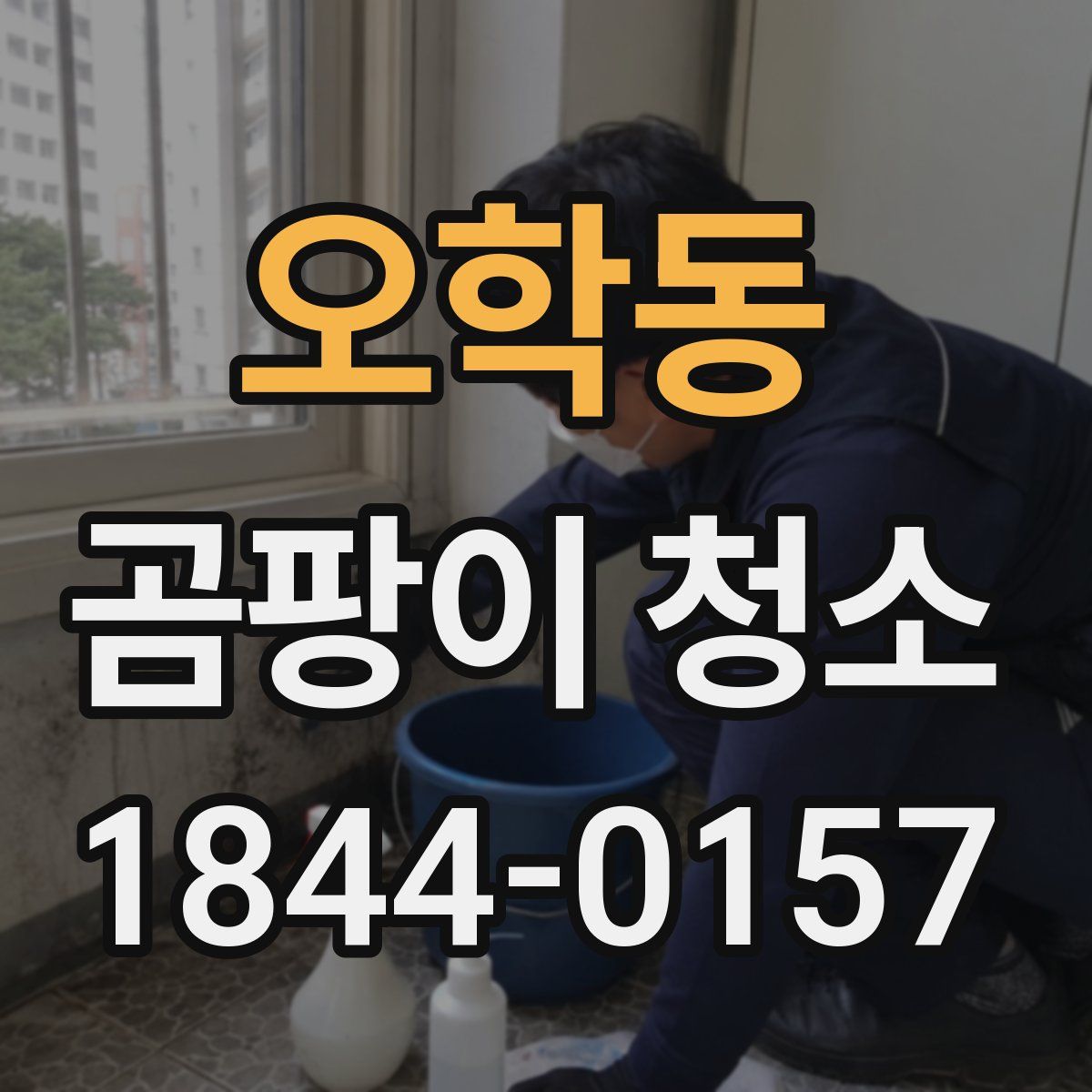 오학동 곰팡이 청소