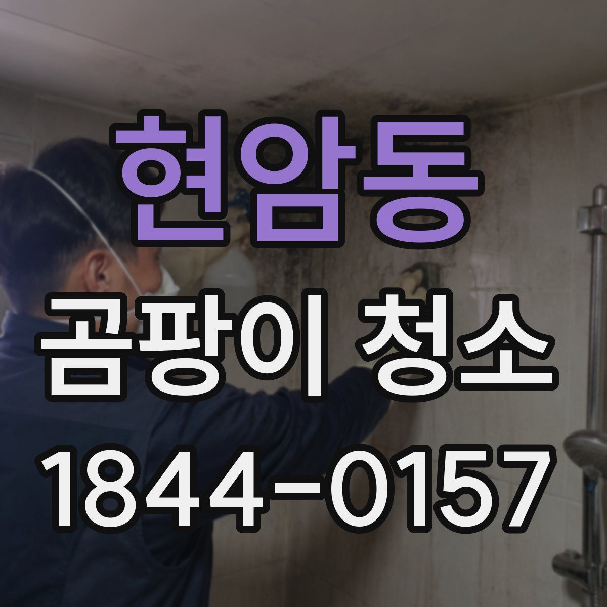 현암동 곰팡이 청소