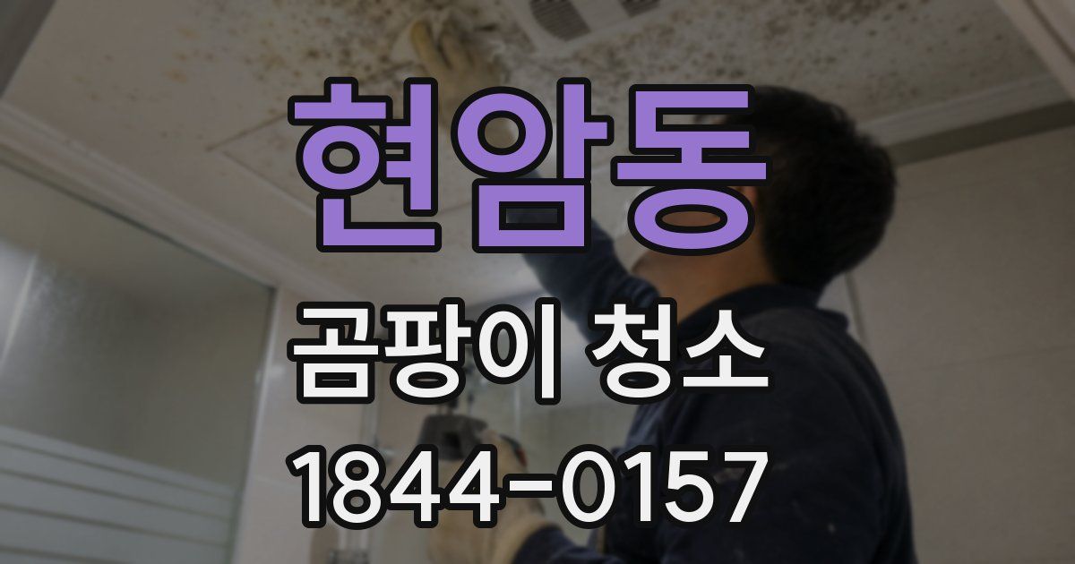 현암동 곰팡이 청소