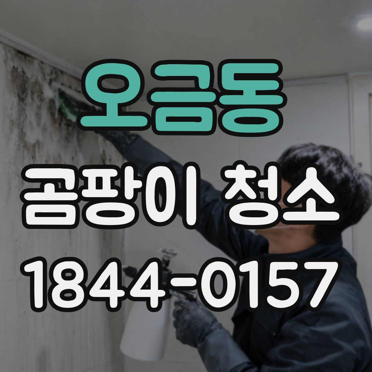 오금동 곰팡이 청소