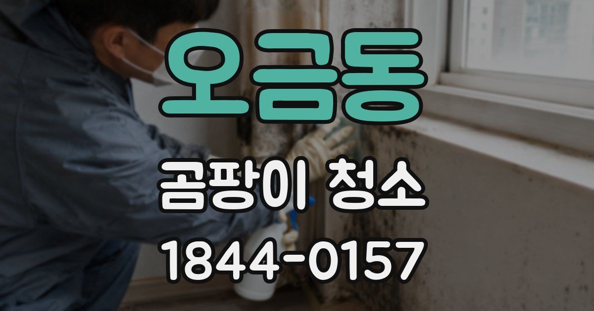 오금동 곰팡이 청소