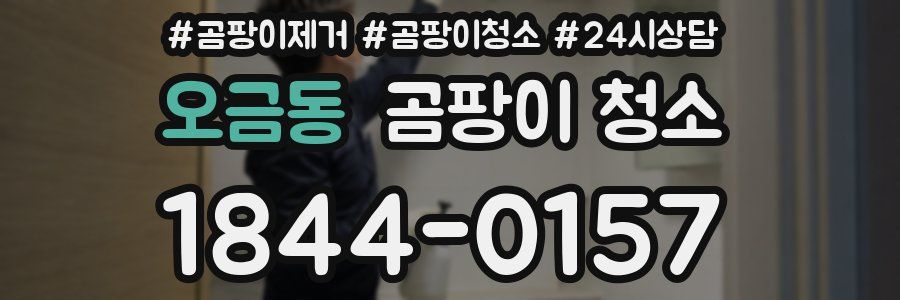 오금동 곰팡이 청소