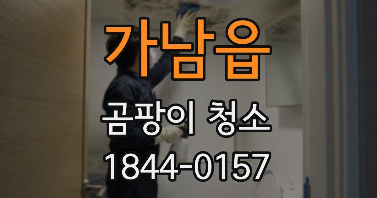 가남읍 곰팡이 청소