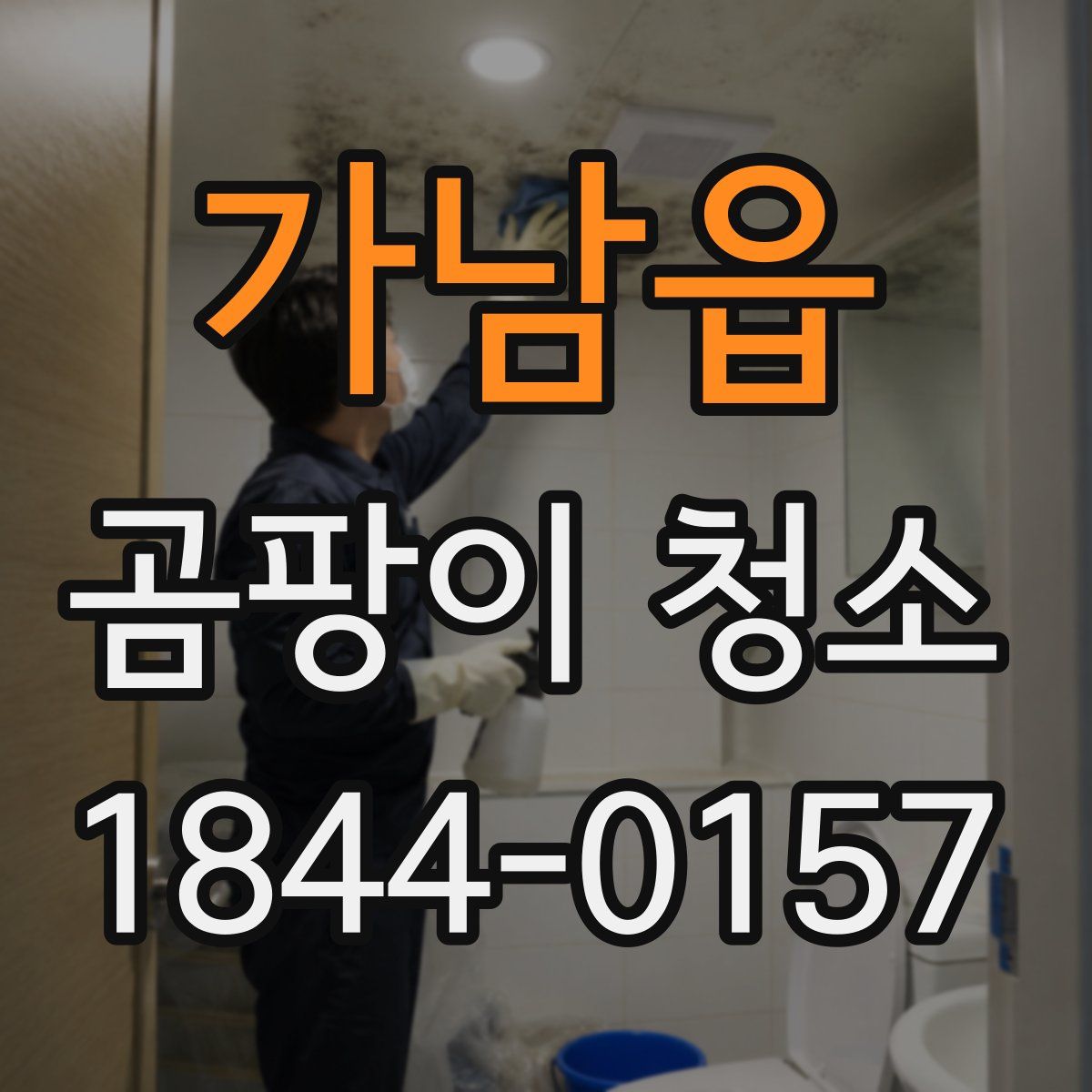 가남읍 곰팡이 청소
