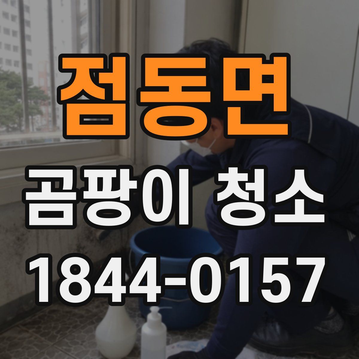 점동면 곰팡이 청소