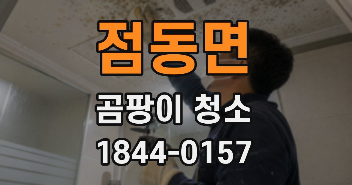 점동면 곰팡이 청소